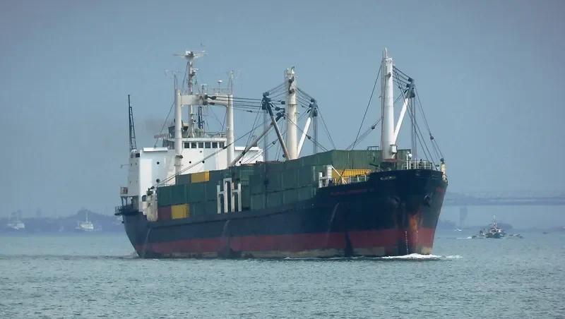 SULPICIO CONTAINER 12 General Cargo IMO 7429360 photo 5