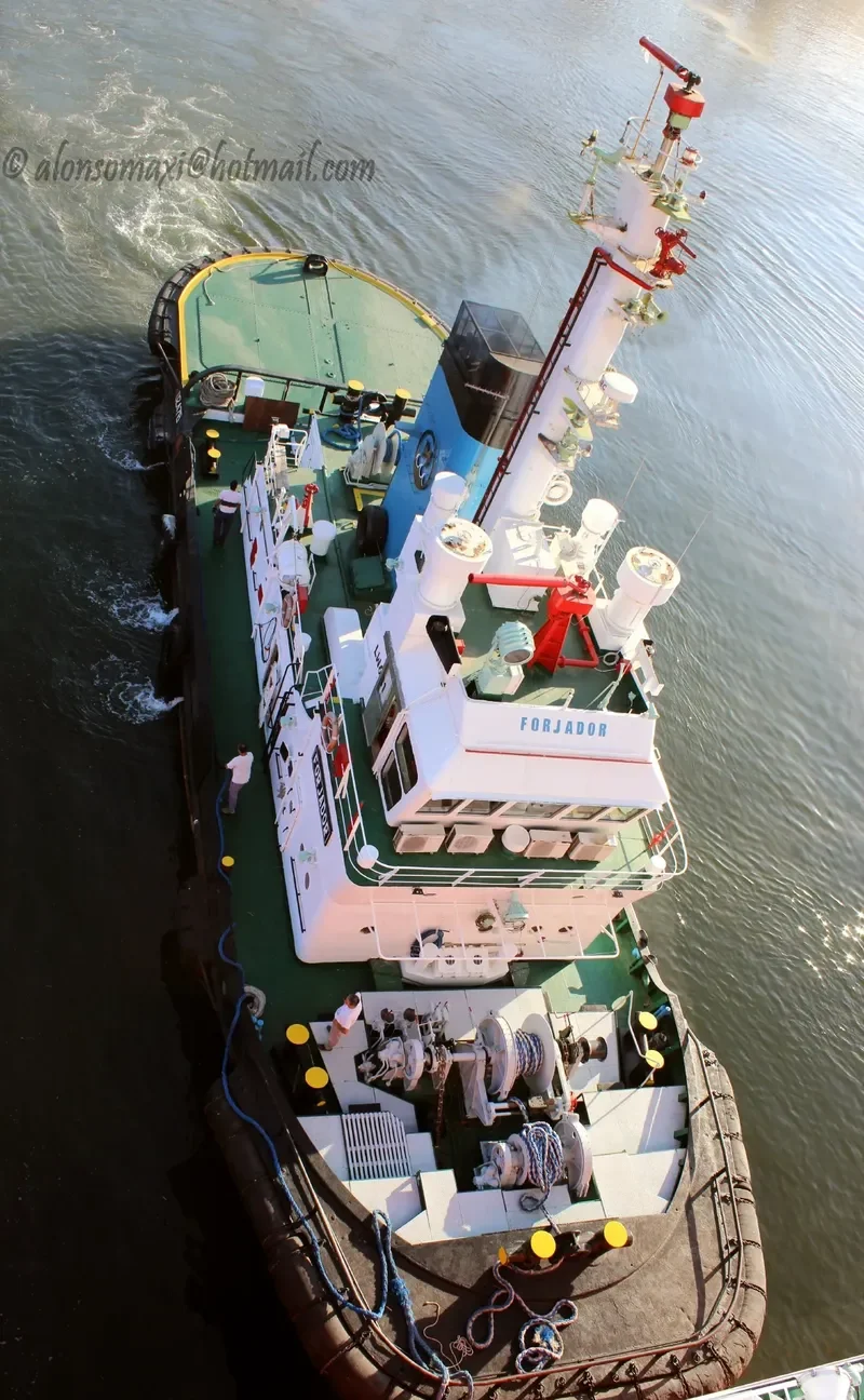 FORJADOR General Cargo IMO 7429619 photo 2