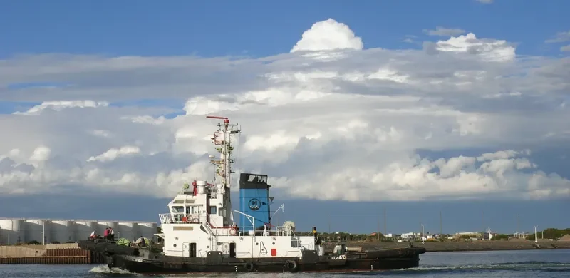 FORJADOR General Cargo IMO 7429619 photo 6