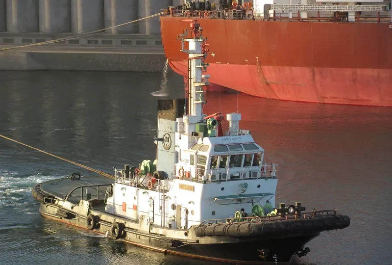 FORJADOR General Cargo IMO 7429619 photo 10