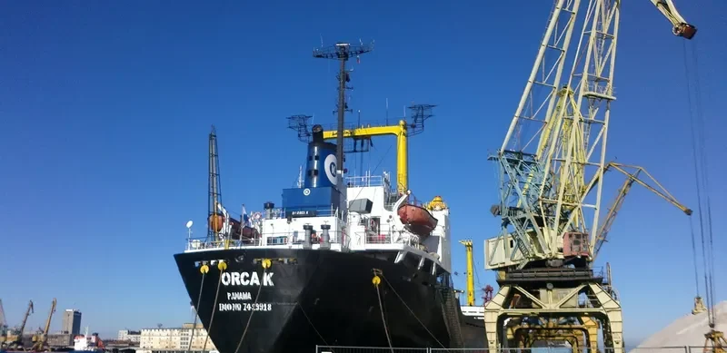 ORCA K Bulk Carrier IMO 7429918