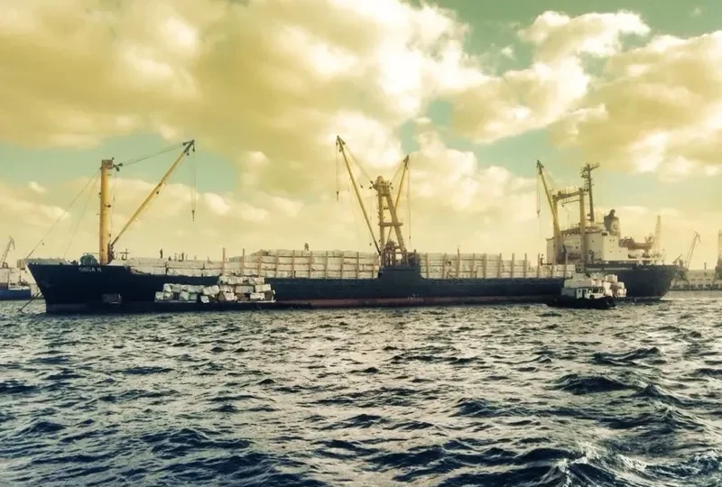 ORCA K Bulk Carrier IMO 7429918 photo 2