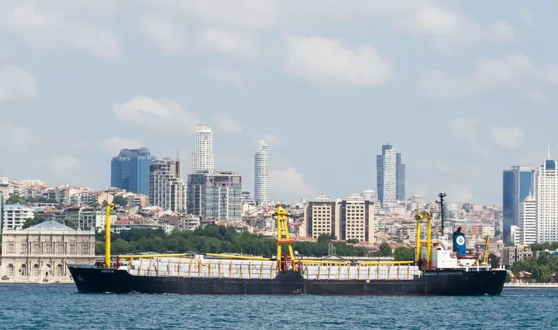 ORCA K Bulk Carrier IMO 7429918 photo 4