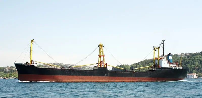 ORCA K Bulk Carrier IMO 7429918 photo 5