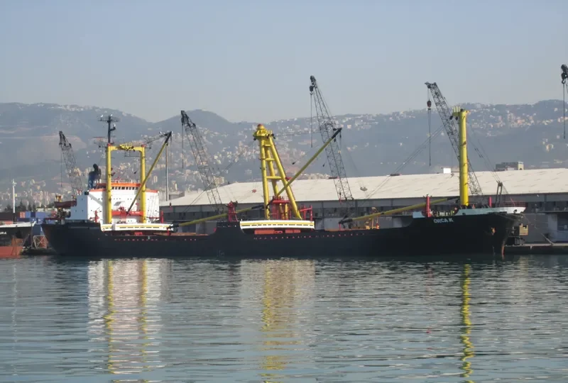 ORCA K Bulk Carrier IMO 7429918 photo 6