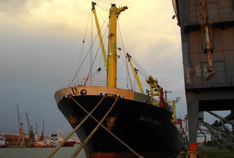 ORCA K Bulk Carrier IMO 7429918 photo 9