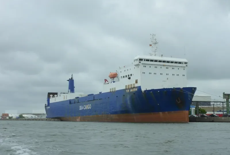 MINERVA Ro-Ro IMO 7430735 photo 3