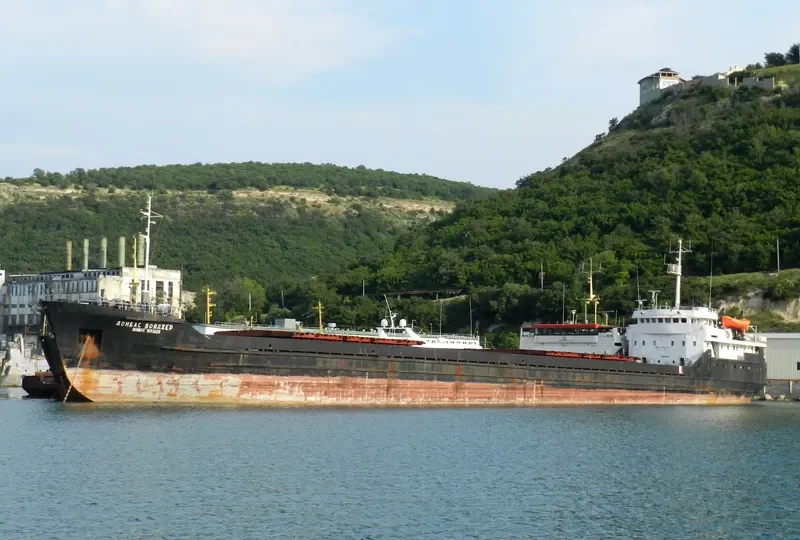 NIKITA KOZHEMYAKA General Cargo IMO 7430761 photo 2