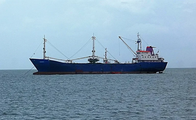 ANASURYA General Cargo IMO 7431129 photo 2