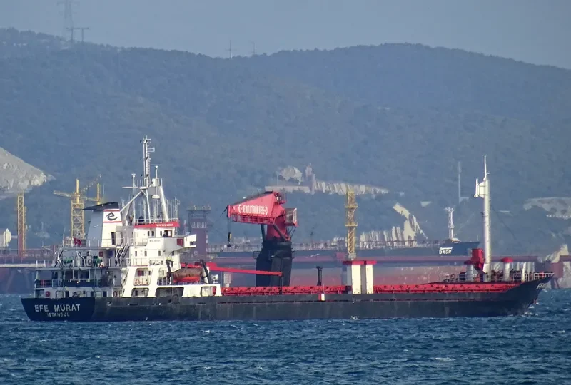 EFE MURAT General Cargo IMO 7431131 photo 8