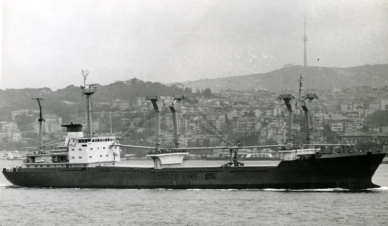 VASILIY BELOKONENKO General Cargo IMO 7431260
