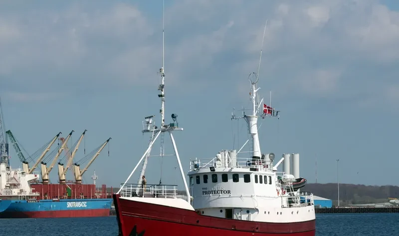 WIND PROTECTOR General Cargo IMO 7431313 photo 6