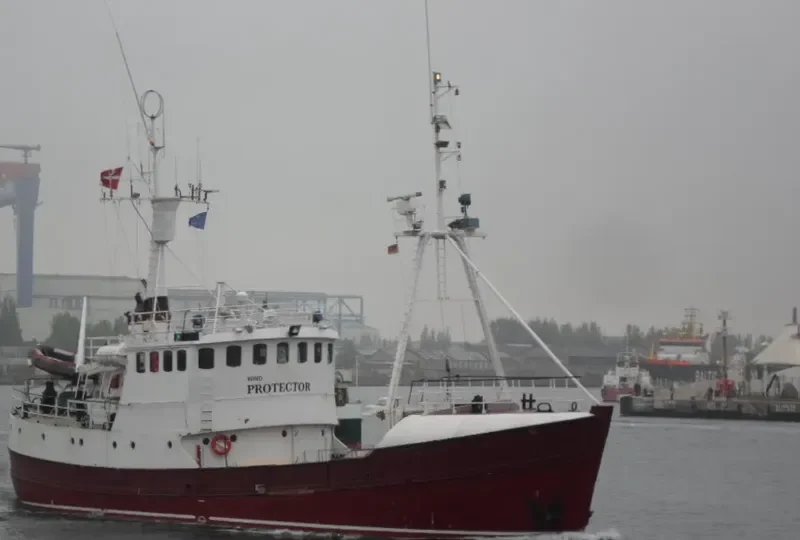 WIND PROTECTOR General Cargo IMO 7431313 photo 8