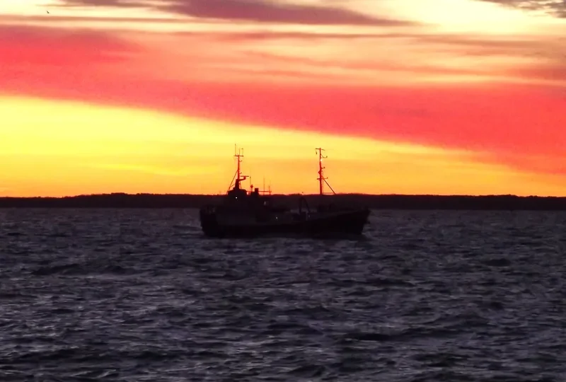 SALME General Cargo IMO 7431337