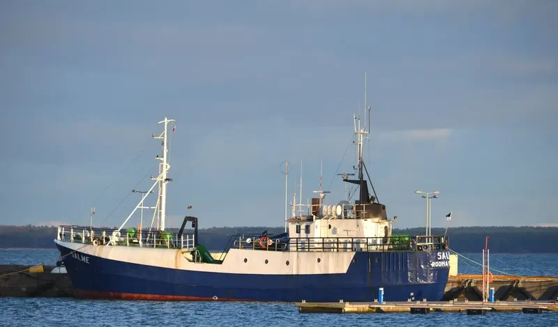 SALME General Cargo IMO 7431337 photo 2