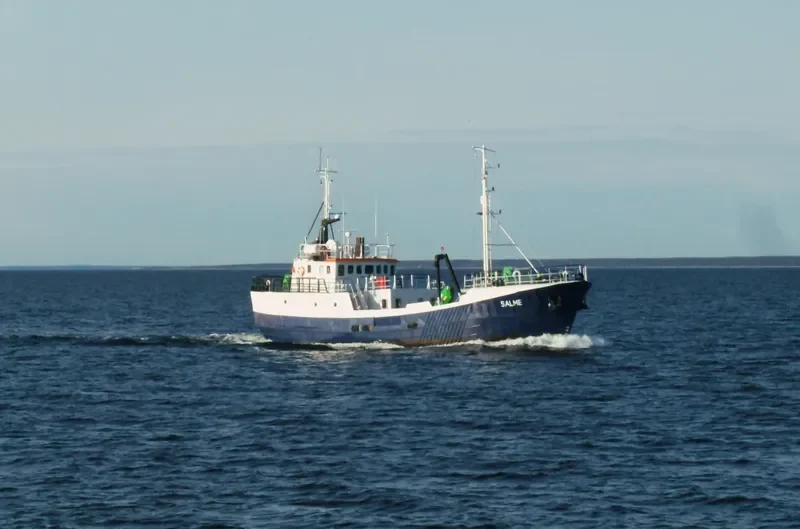 SALME General Cargo IMO 7431337 photo 5