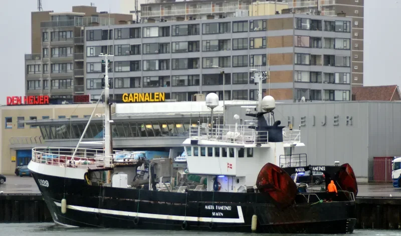 MARIA HAMETNER General Cargo IMO 7431569 photo 2
