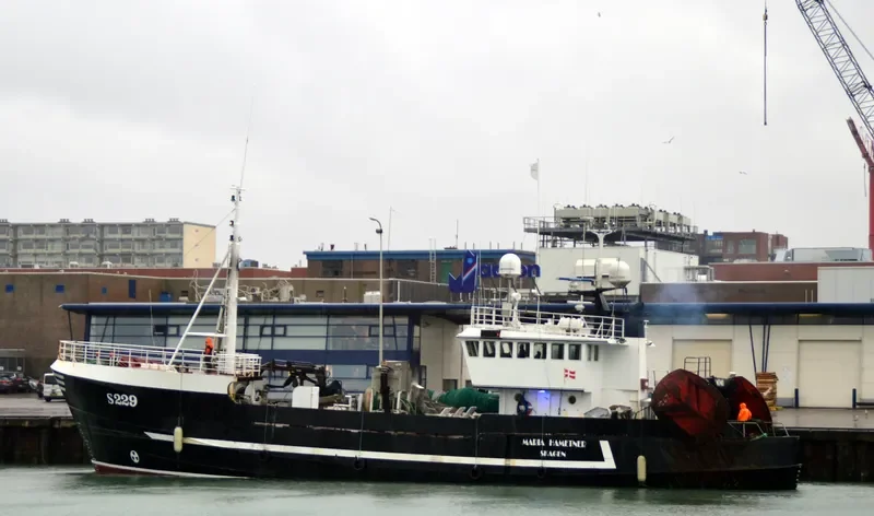 MARIA HAMETNER General Cargo IMO 7431569 photo 3