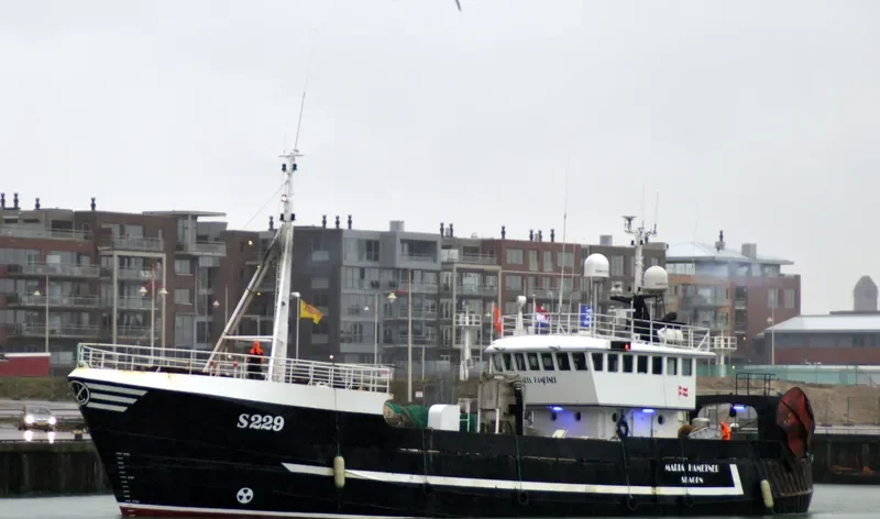 MARIA HAMETNER General Cargo IMO 7431569 photo 4