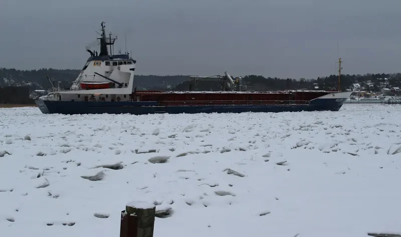 HELLEVIK General Cargo IMO 7431650 photo 8
