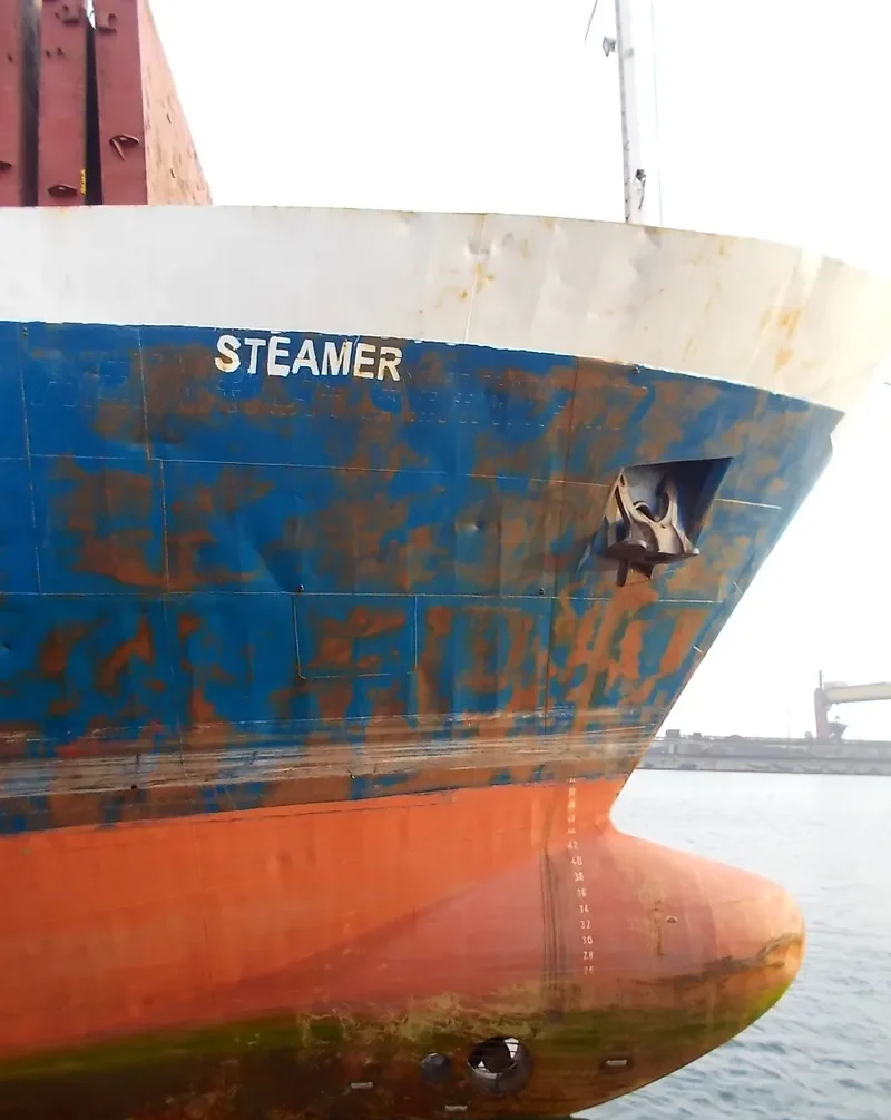 STEAMER General Cargo IMO 7431686 photo 2