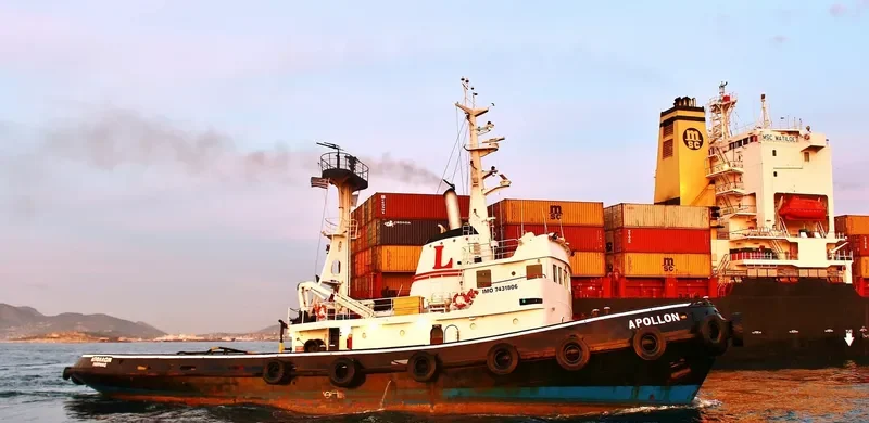 APOLLON General Cargo IMO 7431806 photo 8