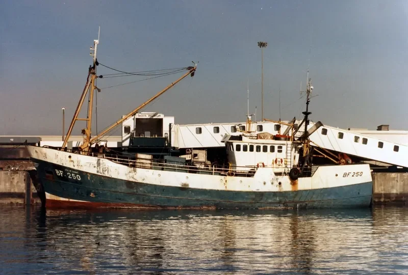 SALVOEY General Cargo IMO 7431868 photo 6