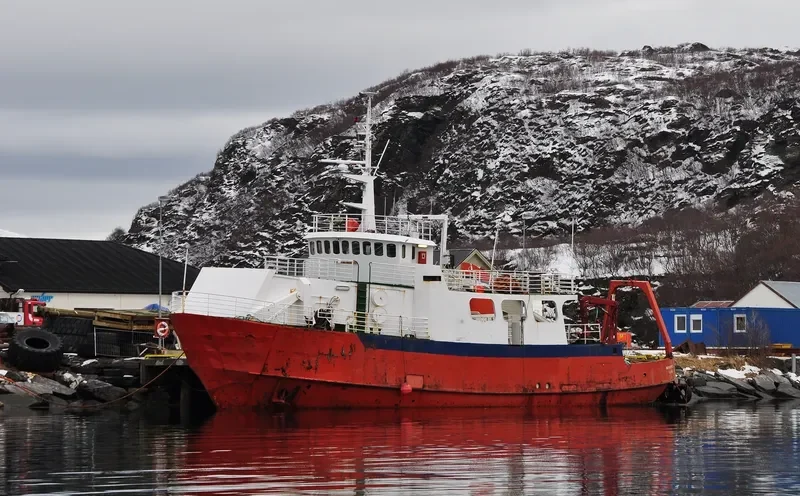 HAVSERVICE II Ro-Ro IMO 7432288 photo 2