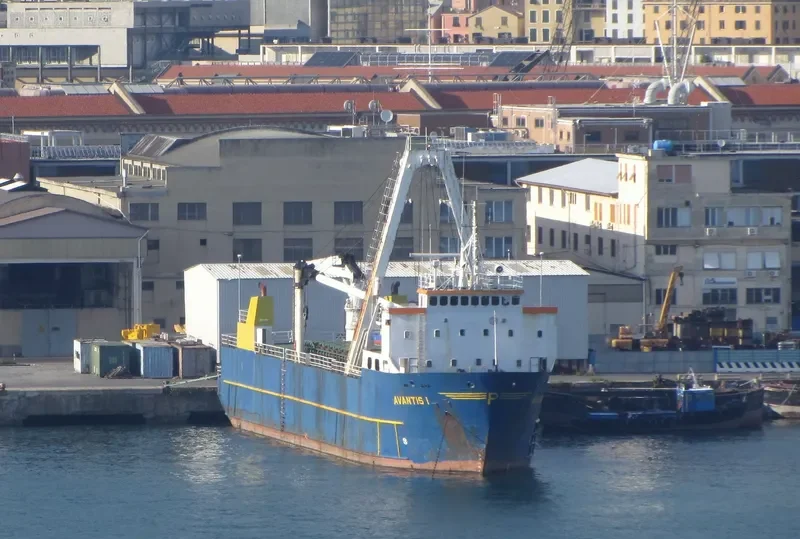 ALTA General Cargo IMO 7432305 photo 8