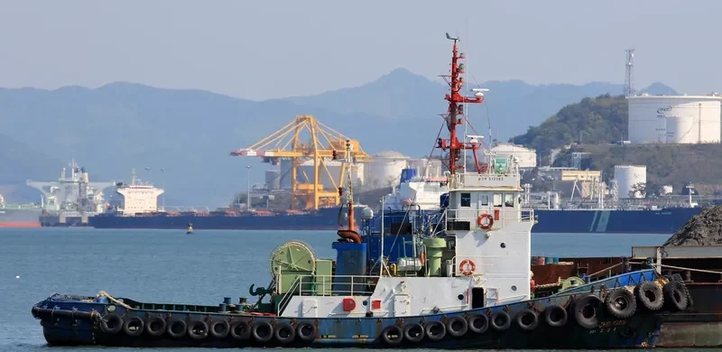 301 CHOYANGHO General Cargo IMO 7432721 photo 2
