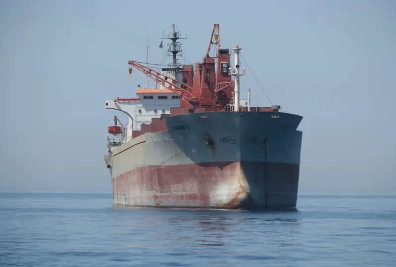 KALIST Bulk Carrier IMO 7433012 photo 3