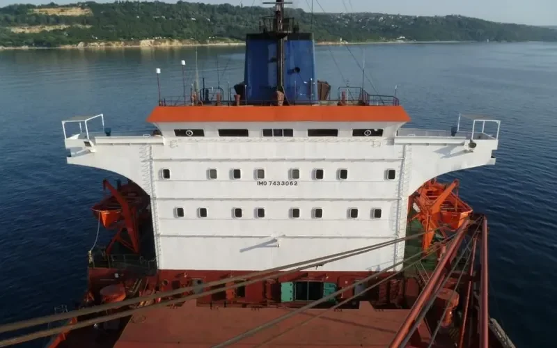 SEA DREAM Bulk Carrier IMO 7433062 photo 2