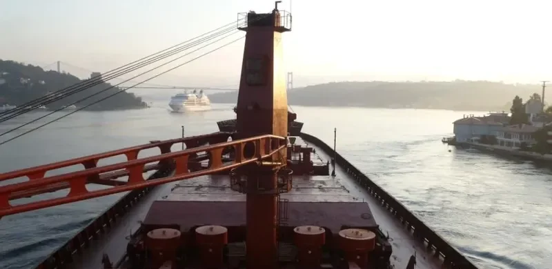 SEA DREAM Bulk Carrier IMO 7433062 photo 6