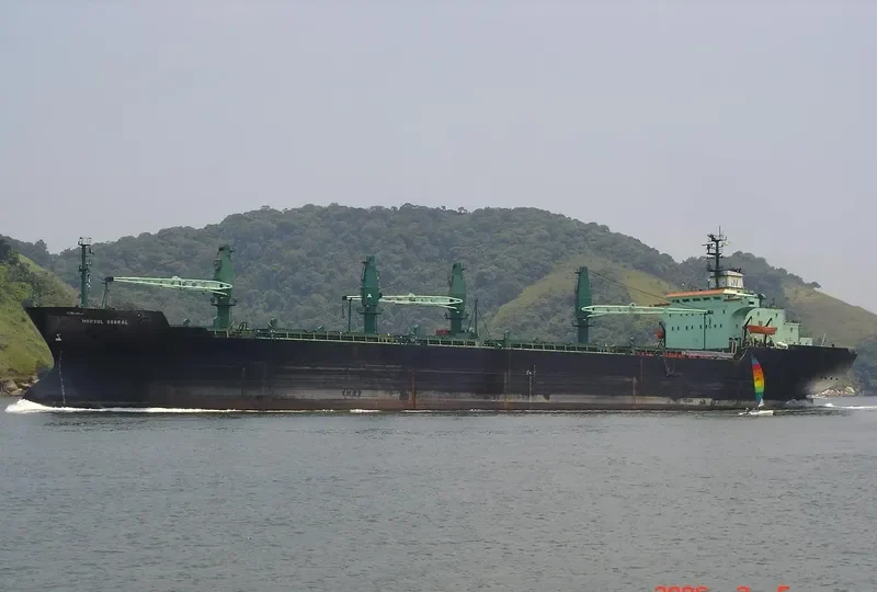 NORSUL Bulk Carrier IMO 7433098