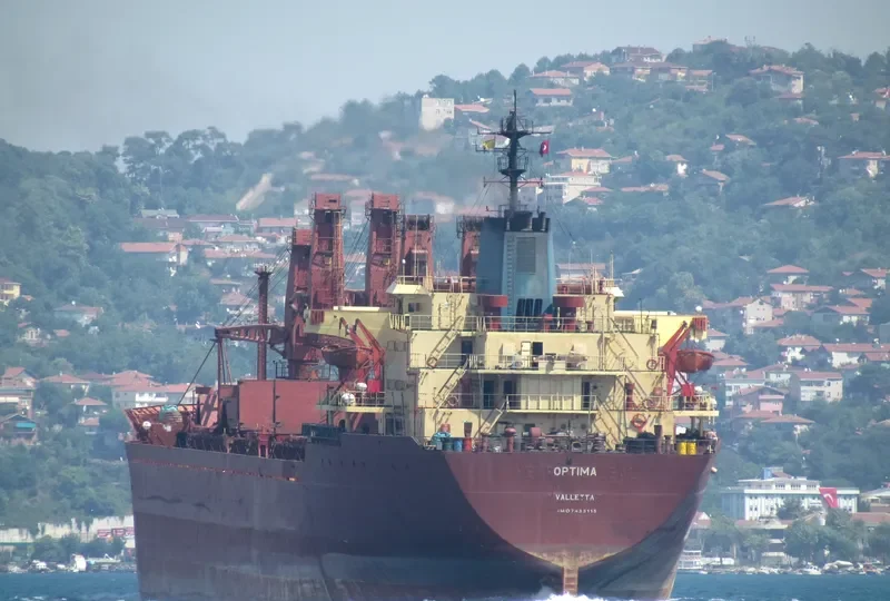 OPTIMA Bulk Carrier IMO 7433115 photo 6