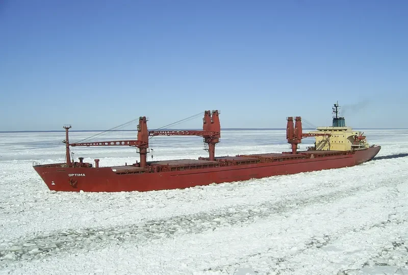 OPTIMA Bulk Carrier IMO 7433115 photo 8