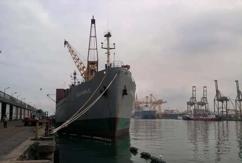 LILY NOBLE General Cargo IMO 7433282