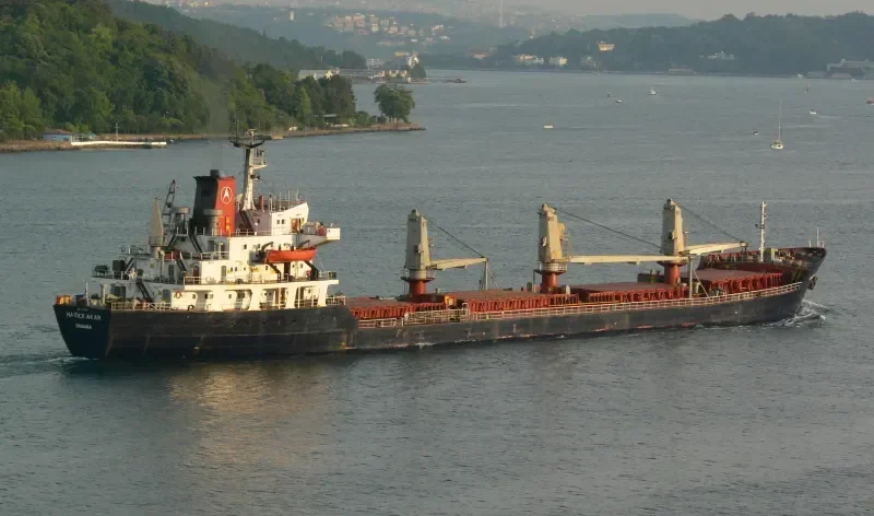 HATICE AKAR Bulk Carrier IMO 7433335 photo 7