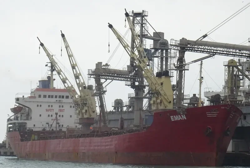 EMAN Bulk Carrier IMO 7433347 photo 3