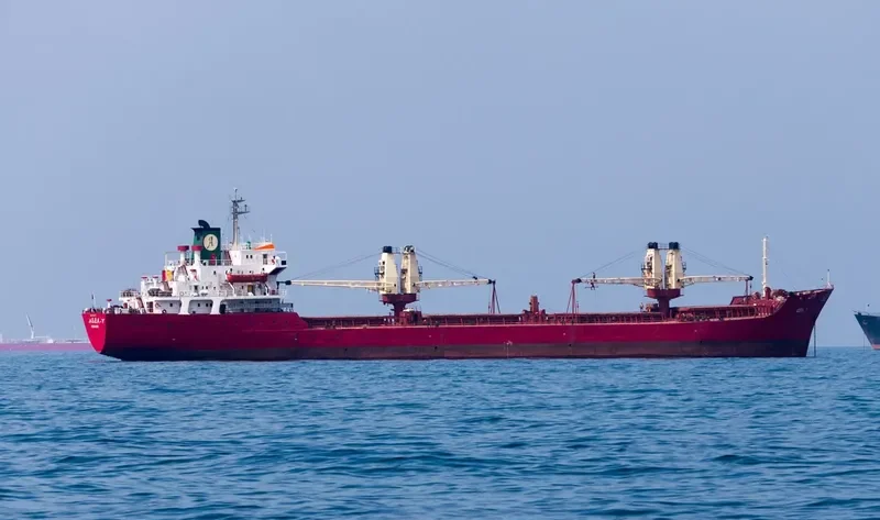 EMAN Bulk Carrier IMO 7433347 photo 8