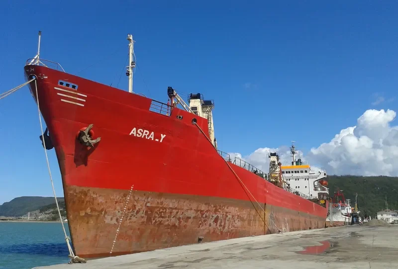 EMAN Bulk Carrier IMO 7433347 photo 9