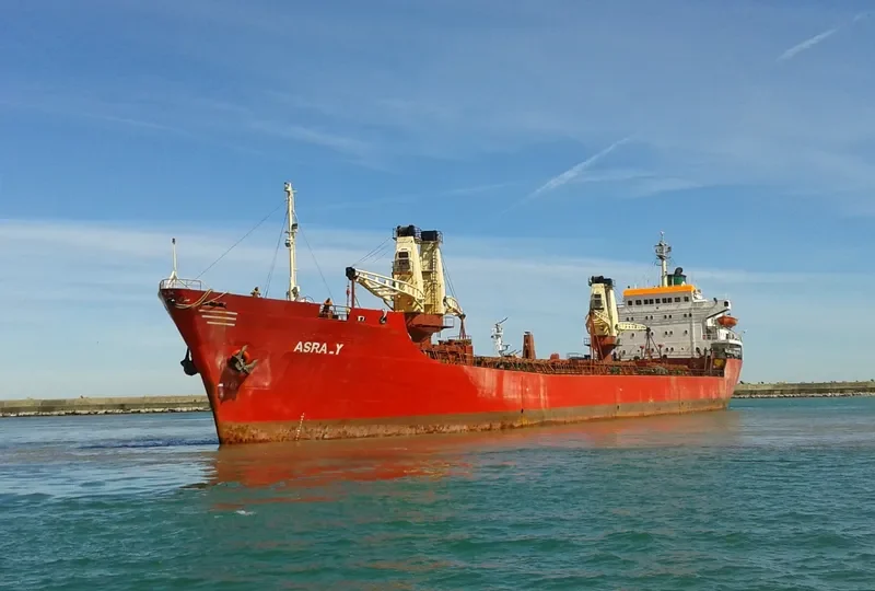 EMAN Bulk Carrier IMO 7433347 photo 10