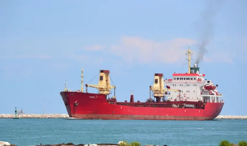 PARIS Y Bulk Carrier IMO 7433426 photo 5