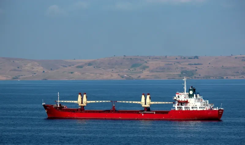 PARIS Y Bulk Carrier IMO 7433426 photo 6