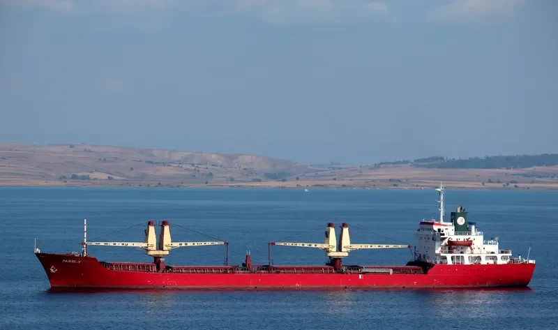 PARIS Y Bulk Carrier IMO 7433426 photo 7