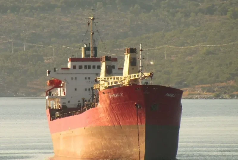 PARIS Y Bulk Carrier IMO 7433426 photo 8