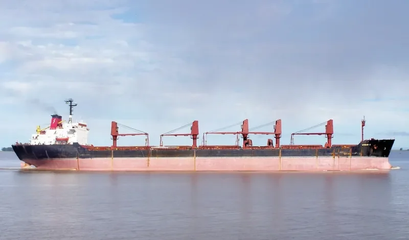WISDOM C Bulk Carrier IMO 7433464 photo 4