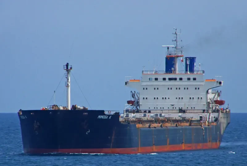 MIMOSA K Bulk Carrier IMO 7433517 photo 8
