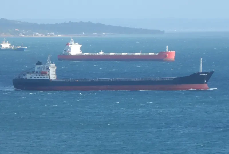 BRAZTRANS I Bulk Carrier IMO 7433610 photo 3