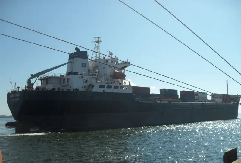 BRAZTRANS I Bulk Carrier IMO 7433610 photo 4